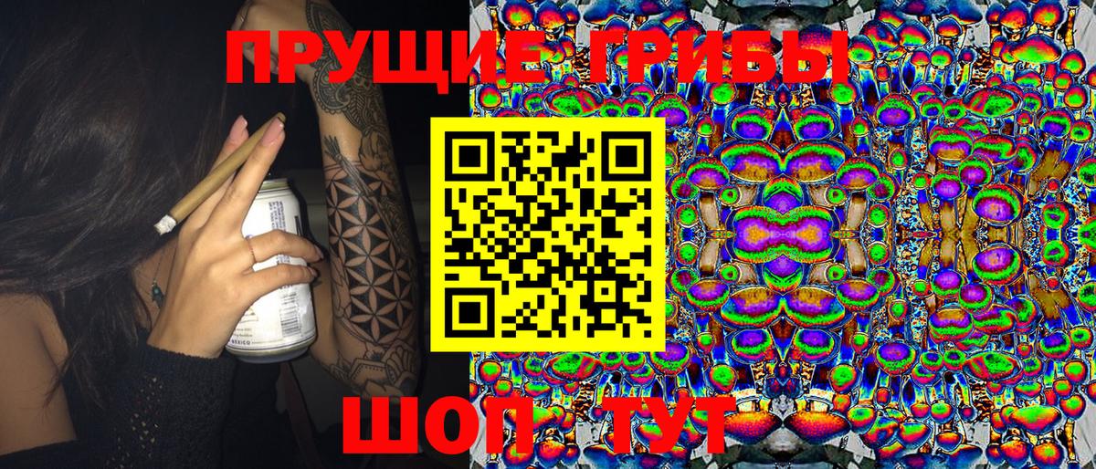 Галлюциногенные грибы мицелий  Вход с VPN  Киселёвск 