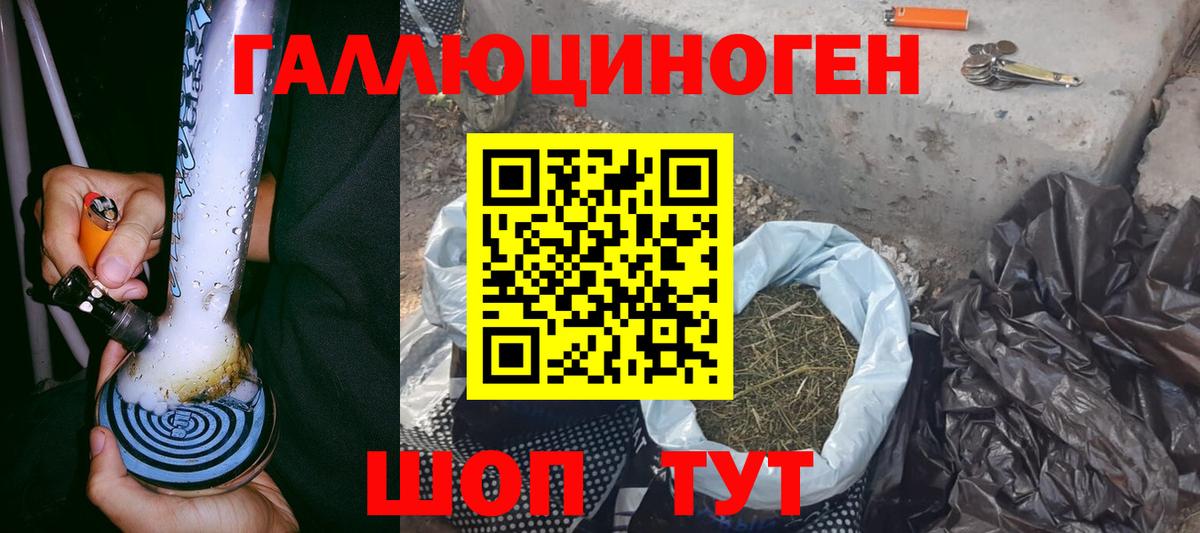 Псилоцибиновые грибы прущие грибы Киселёвск